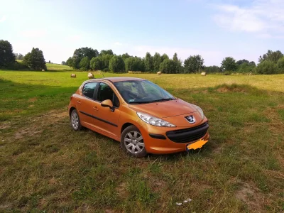 DzieckoNaLato - #pokazauto #samochody #peugeot

Małe, damskie, nie za 100k, ale go lu...