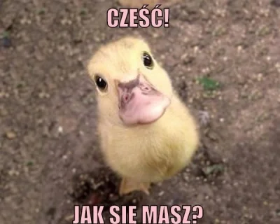 M.....w - @szpila68i: @Kutazzz: @getin: 
Cześć! Jak się masz?