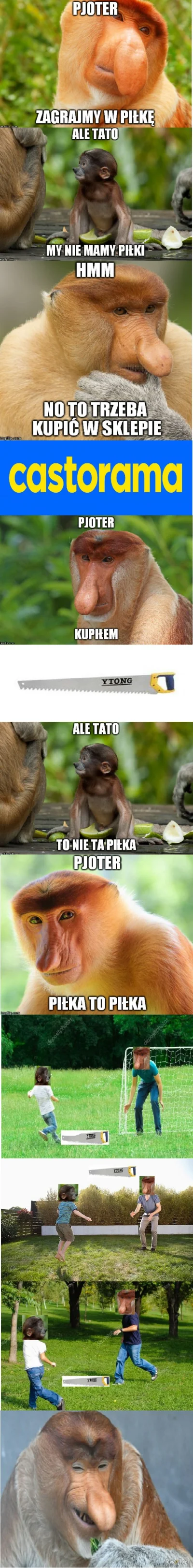 xavier11 - #humorobrazkowy #humor #memy #polak #nosaczsundajski