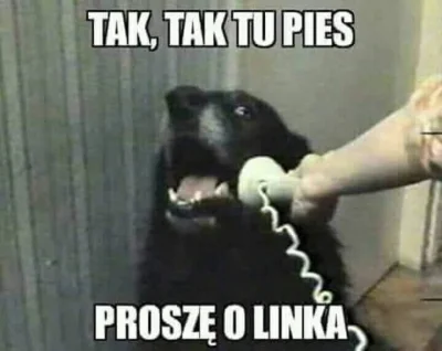 Voltaire - @wykopowynoob: Pies pytał o linka.. ( ͡° ͜ʖ ͡°)