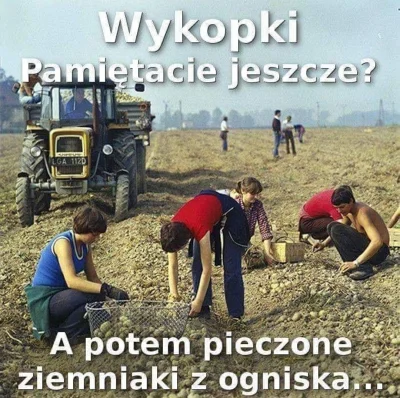 WutkaBXL - #wykopki z #mirko pamiętają?