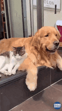 pierdze - #kotki #smiesznekotki #gif #koty
Jeśli nie chcesz przegapić następnej porc...