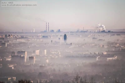 piekuo - @Erimar: Jeżeli 152 to są % to akurat jak na Kraków jest BARDZO mało :D wręc...