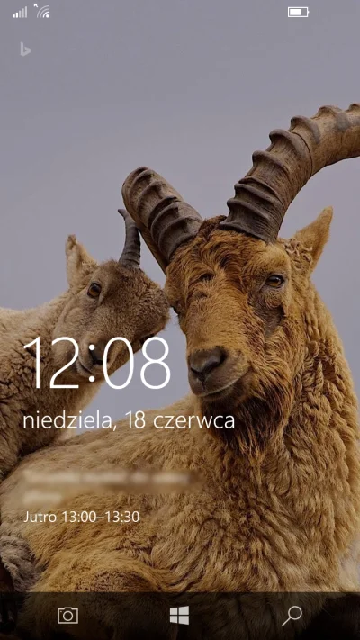 Cesarz_Polski - #bingnadzis #windowsphone #smiesznypiesek #zwierzaczki