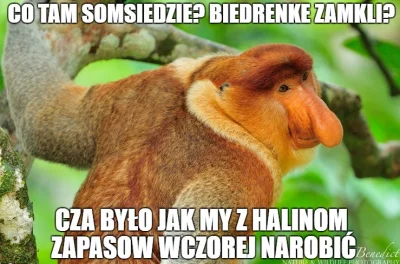 obwarzan72 - #humorobrazkowy 
#polak