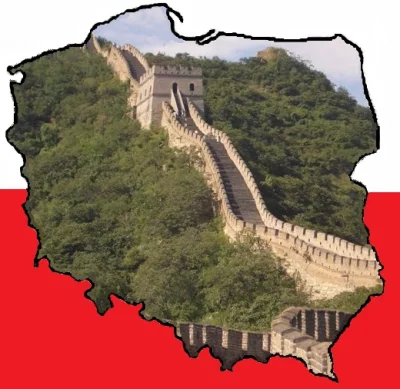 Kolejny_Mirek - No to co ? Budujemy Wielki Mur Polski ? ( ͡° ͜ʖ ͡°)
#heheszki #neuro...