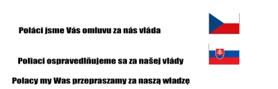 szurszur - Czesi i Słowacy masowo rozsyłają po sieci grafikę w której przepraszaja Po...