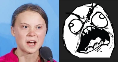 smutny_kojot - Cały dzień myślę, skąd ja ją znam ( ͡° ͜ʖ ͡°)
#gretathunberg #heheszk...