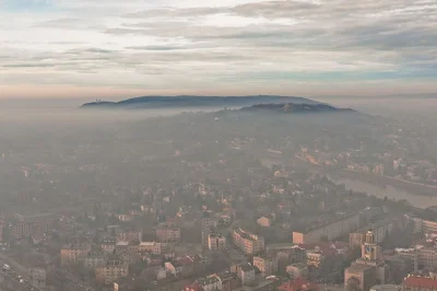 Uparciuch - #krakow #smog