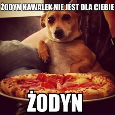 R.....l - ( ͡° ͜ʖ ͡°)
#smiesznypiesek #heheszki #humorobrazkowy #humor #pizza