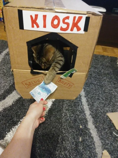 przemo007 - Kot sprzedawca
#pokazkota