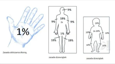 AmateurHardcore - @RoastieRoast bliżej 0,6%. 
Powierzchnia równa dłoni to zwykle ok 1...