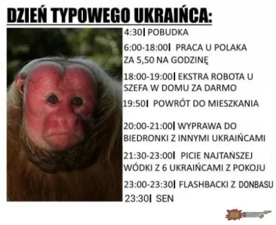 Szczurek908 - #humorobrazkowy #ukrainiec