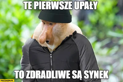 zdanewicz - @Senchaa klasyk