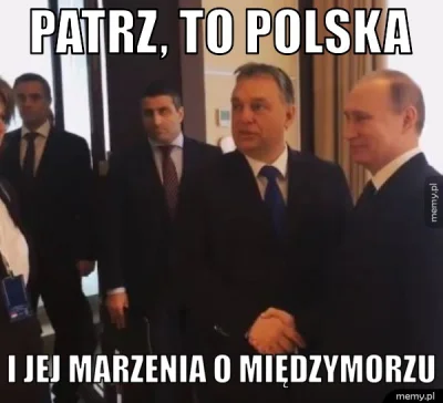 Doctor_Manhattan - Pakt Putin-Orbán pomoże w budowie Nord Stream II?

 Premier Vikto...