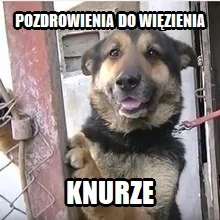 Loczektoja - #kononowicz 
#patostreamy