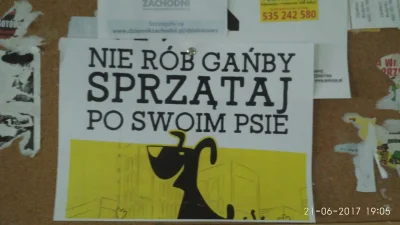 GryfnySzac - A ty sprzątosz po swoim psie? 
#slask #heheszki #psy