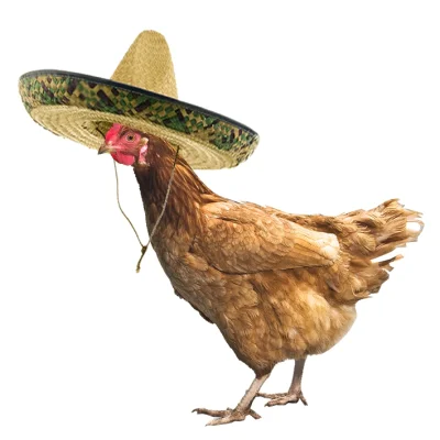 danielator - @lazer: to jest prawdziwy kurczak po meksykańsku ( ͡° ͜ʖ ͡°)