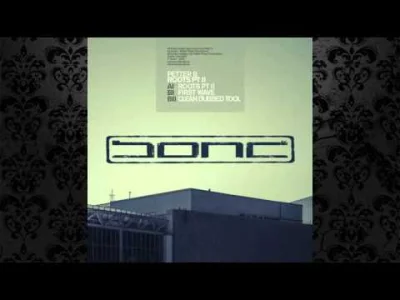 valdas90 - Petter B - Roots Pt.2 (Original Mix) [BOND] 

#mirkoelektronika #techno
