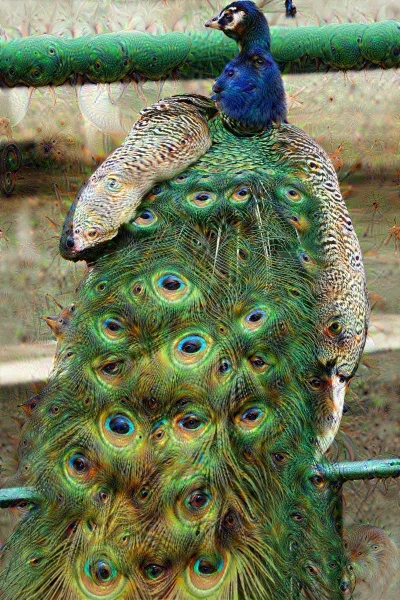 kukukulfon - Pawoko ( ͡° ͜ʖ ͡°)
#deepdream #creepy