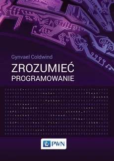 Romantyczny_Roman - E-book za 25 zł, nigdzie taniej nie znalazłem. Ma ktoś i poleca c...