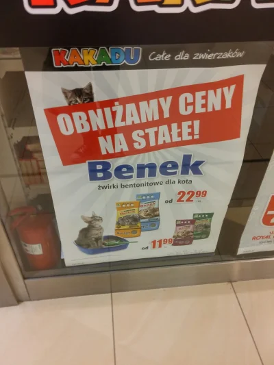 CierpkaCytryna - Benek sobie radzi

#benek #heheszki