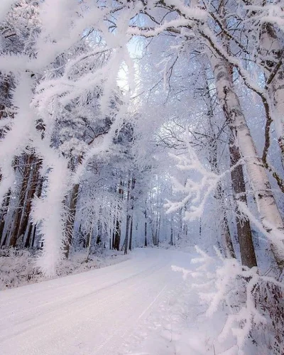 idzii - Zimowy nastrój panujący we Finlandi ( ͡° ͜ʖ ͡°)

#pogoda #zima #finlandia #...