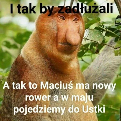 PeaK - #heheszki #humorobrazkowy #bekazpisu