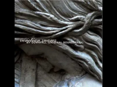 Magix_Slayer - Venetian Snares - The Hopeless Pursuit of Remission
#muzyka #venetian...