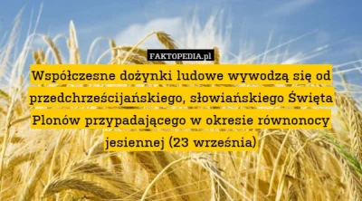 karolgrabowski93 - @karolgrabowski93: http://faktopedia.pl/494334

 #slowianie #slowi...