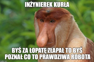 s.....o - > jako inżynier robót drogowych

@kuczyn: