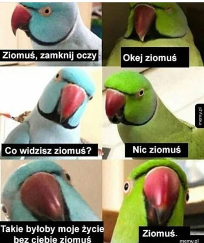 Seif - @kamisan: Dzięki, ziomuś.