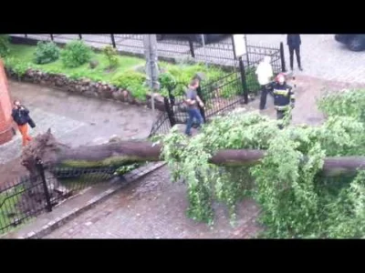 Galhali - Dzisiaj w centrum Olsztyna koło 17:00 jebło drzewo. Strażacy byli po około ...