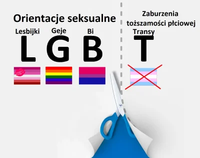 majsterV2 - #takaprawda #bekazlewactwa #bekazlgbt #psychiatria