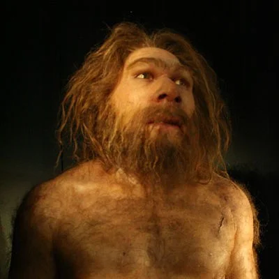 Silwerbalk - @Wanzey: coś tu wiedzę neandertalsie pozostałości. ......może temu zginą...