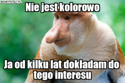 PawelW124 - #humor #heheszki #polak #nosaczsundajski #nosacz #januszebiznesu #memy