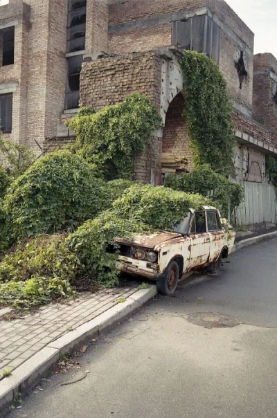 jacomelli - Dowód na to, że miasto, przyroda i motoryzacja mogą istnieć w idealnej sy...