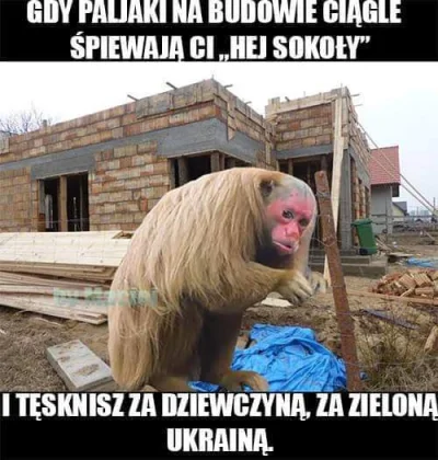 plewa92 - #polak #ukrainiec #heheszki