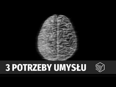 N.....x - Damian Redmer z kanału "rozwojowiec" tłumaczy podstawowe potrzeby umysłu

...