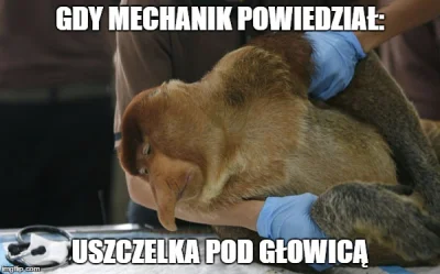 grzech_u - #motoryzacja #polak #humorobrazkowy