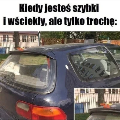 nooeloo2k - Rajder

 #szybcyiwsciekli #golf #spoiler #polska #szybko #rajder #auto