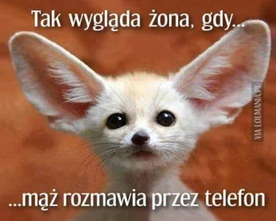 dyniel - #logikarozowychpaskow #heheszki #takaprawda #smieszneobrazki #humorobrazkowy