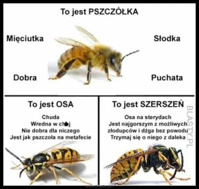 sylwke3100 - Mimo iż tu się do dobrego przydały to jednak przypomnę ten rysunek( ͡° ͜...