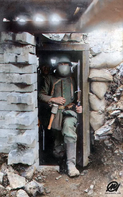 myrmekochoria - Niemiecki żołnierz w oporządzeniu wychodzi z okopu. Maska chroniąca s...