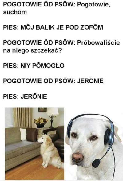 frixer - Jerōnie
#heheszki
#humorobrazkowy
#psy