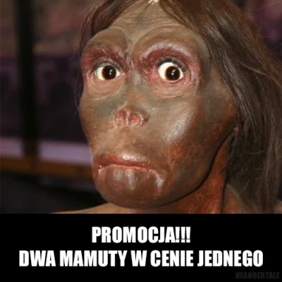 macgar - #memy #heheszki #humorobrazkowy #neandertale