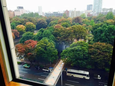 ama-japan - Tokijska jesień 
#japonia #fotografia #podroze #tokyo