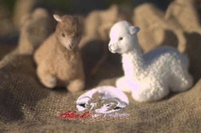 SoftAlpaca-rekawiczki - Dziękujemy za udział w świątecznym #rozdajo Soft Alpaca!

h...