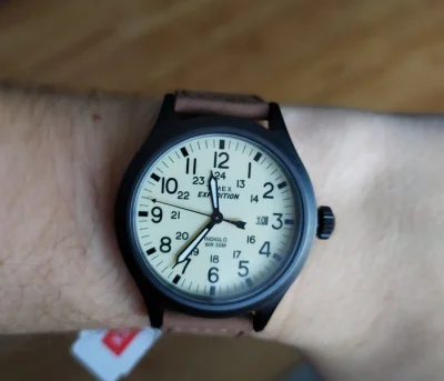 lenovo99 - Nowy nabytek (｡◕‿‿◕｡)

#zegarek #timex