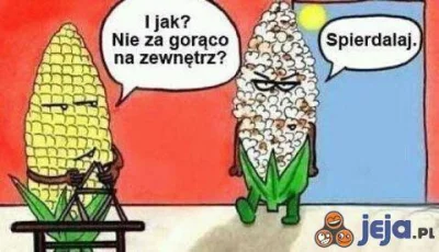 p.....7 - #heheszki #humor #gorace #lato #upaly #slonce